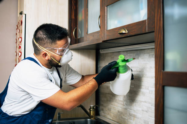 Best Termite Control Services  in Tuskegee, AL