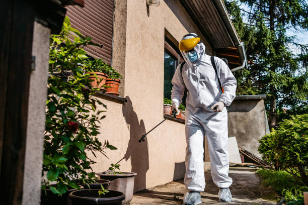 Best Spider Control Near Me  in Tuskegee, AL