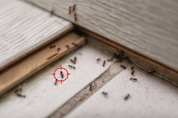 Best Emergency Pest Control  in Tuskegee, AL