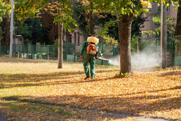 Best Bird Control  in Tuskegee, AL