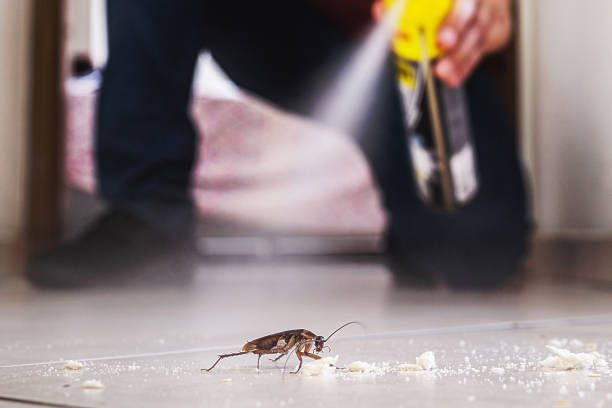 Wasp Removal Services in Tuskegee, AL