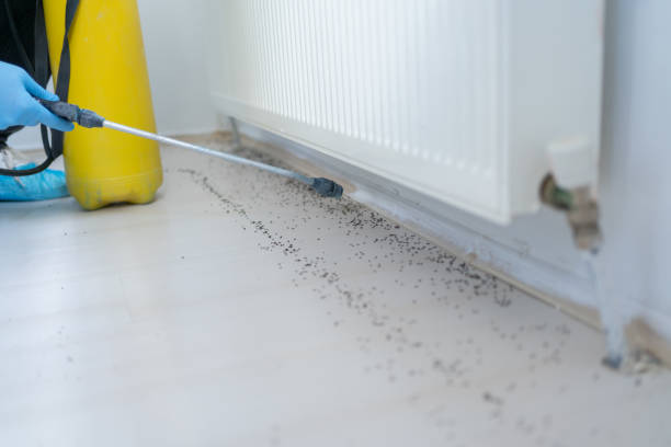 Best Pest Control Near Me in Tuskegee, AL
