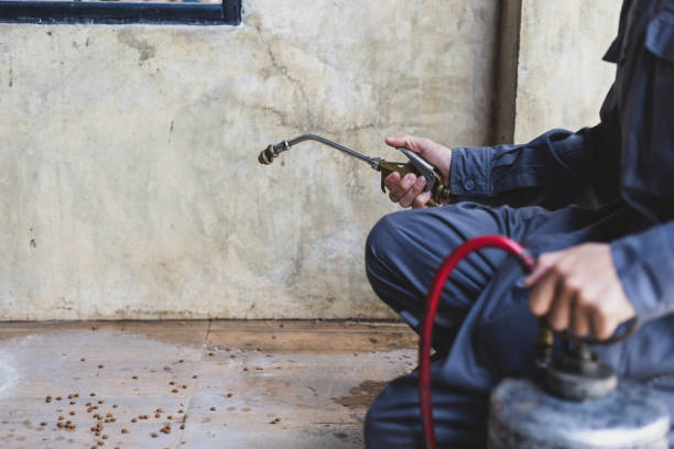 Best Pest Control for Homes  in Tuskegee, AL
