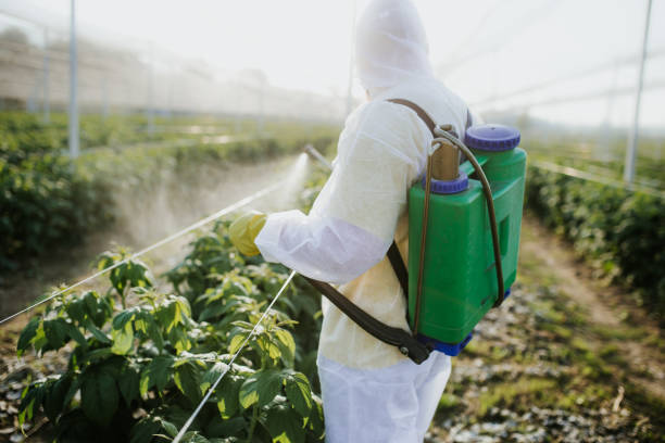 Pest Control Cost in Tuskegee, AL